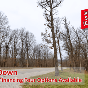 July Summer Sale is Live! Own 0.27 Acre for Just $99/Down 