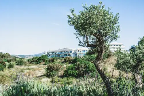 urbanización - entorno