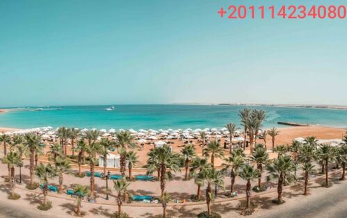 Roof of the building 