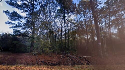 Cohen Rd, Pineland, SC 29