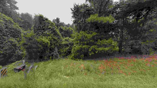 Hwy 56, Clinton, SC, 2932