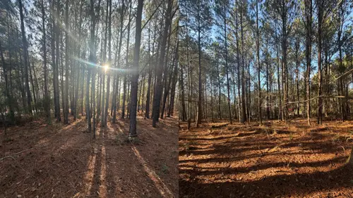 713 Branch Rd, Timmonsvil