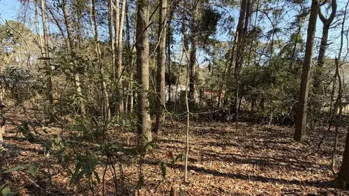 Rosemary Rd, Yemassee, SC