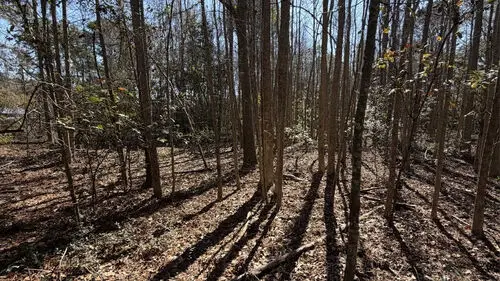 Rosemary Rd, Yemassee, SC