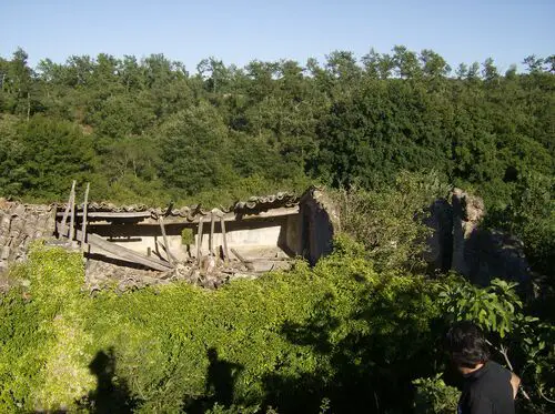 Roof view of ruin