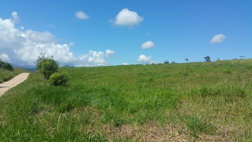 Land with mountain view