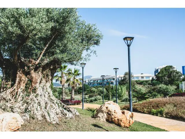 urbanización - entorno