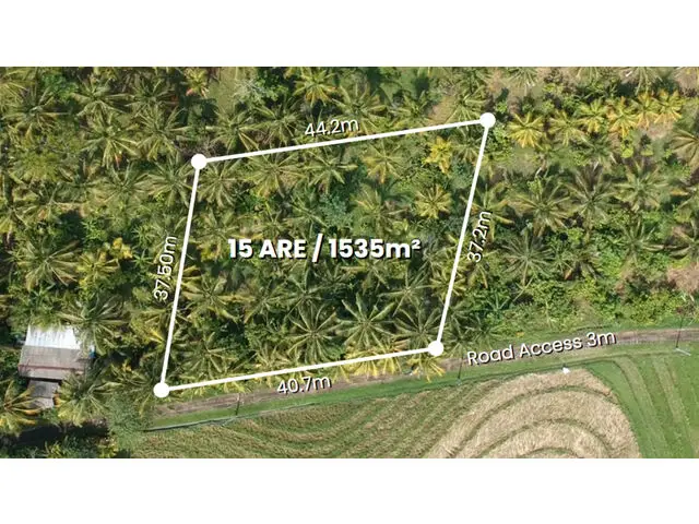 Balian (Bengkel Sari) - P