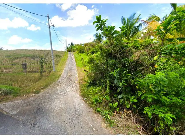 Balian (Bengkel Sari) - P