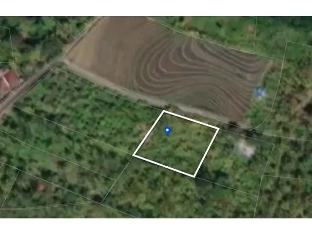 Balian (Bengkel Sari) - P