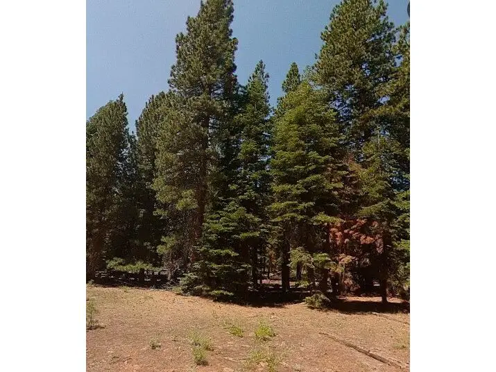 A picture from a place ne