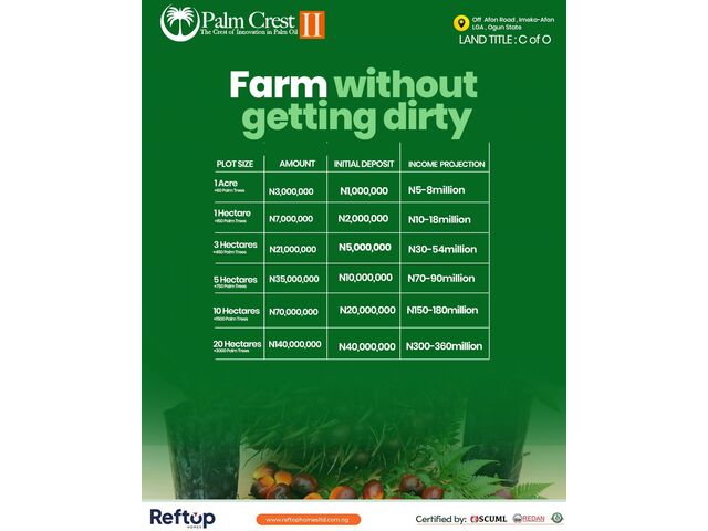 Palm Crest Projections