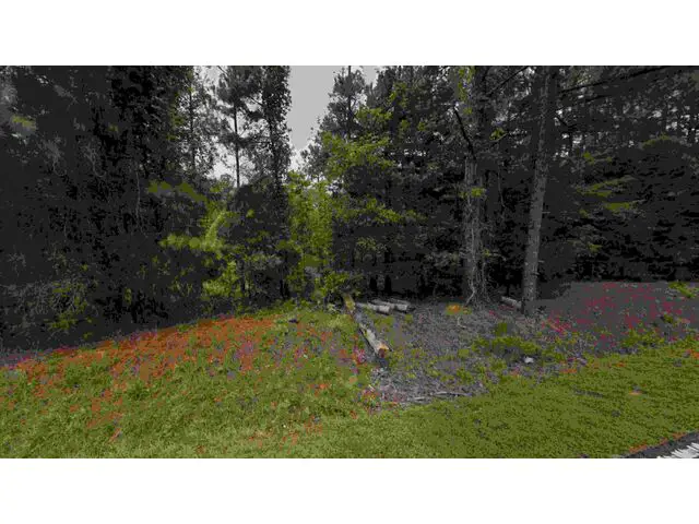 Hwy 56, Clinton, SC, 2932