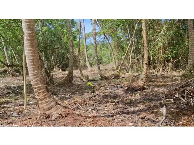 North Sipora, Mentawai