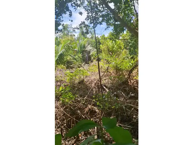 North Sipora, Mentawai