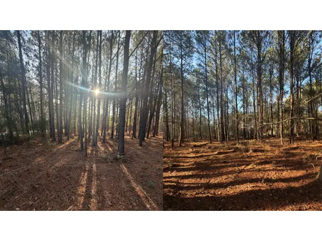 713 Branch Rd, Timmonsvil