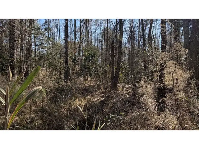 Rosemary Rd, Yemassee, SC