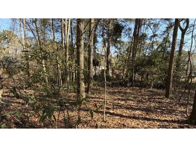 Rosemary Rd, Yemassee, SC